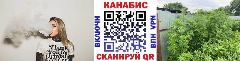 где купить   Южно-Сахалинск  Каннабис гибрид 